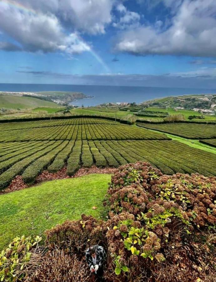 By The Sea Azores ฮิเบย์รา กรันเจ ภายนอก รูปภาพ