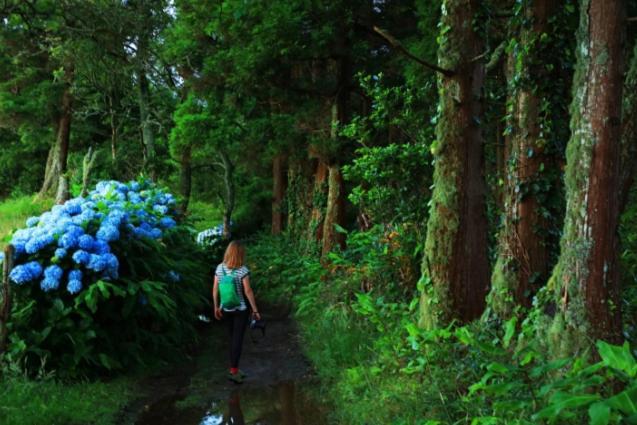 By The Sea Azores ฮิเบย์รา กรันเจ ภายนอก รูปภาพ